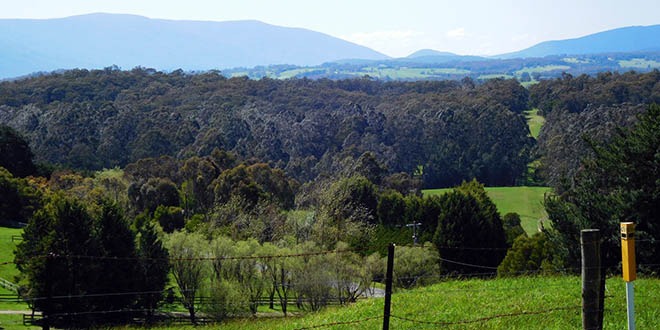 blog-hoe-lina-door-een-rondreis-in-australie-de-mooiste-stukken-van-het-land-ontdekt4