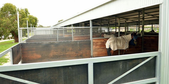 blog-trainen-en-het-zorgen-voor-de-racepaarden-tijdens-mijn-boerderijwerk-in-australie3